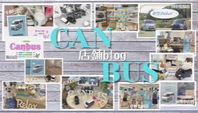 新型キャンバスtop